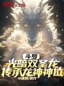 斗罗：光暗双圣龙，传承龙神神位